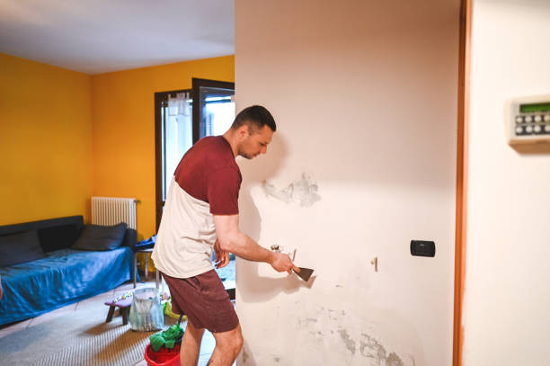 Best Certified Mold Removal  in Marlene Village, OR